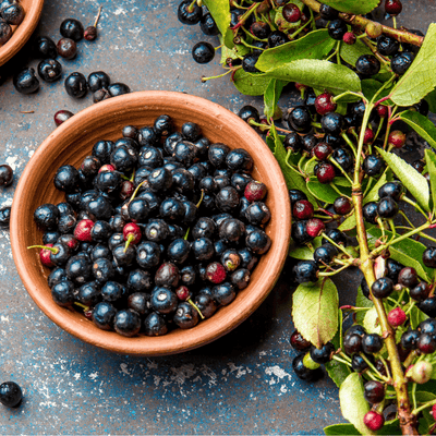 Six Fascinating Health Benefits of the Maqui Berry