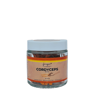 Cordyceps Mushroom | 16g - Forager Superfoods