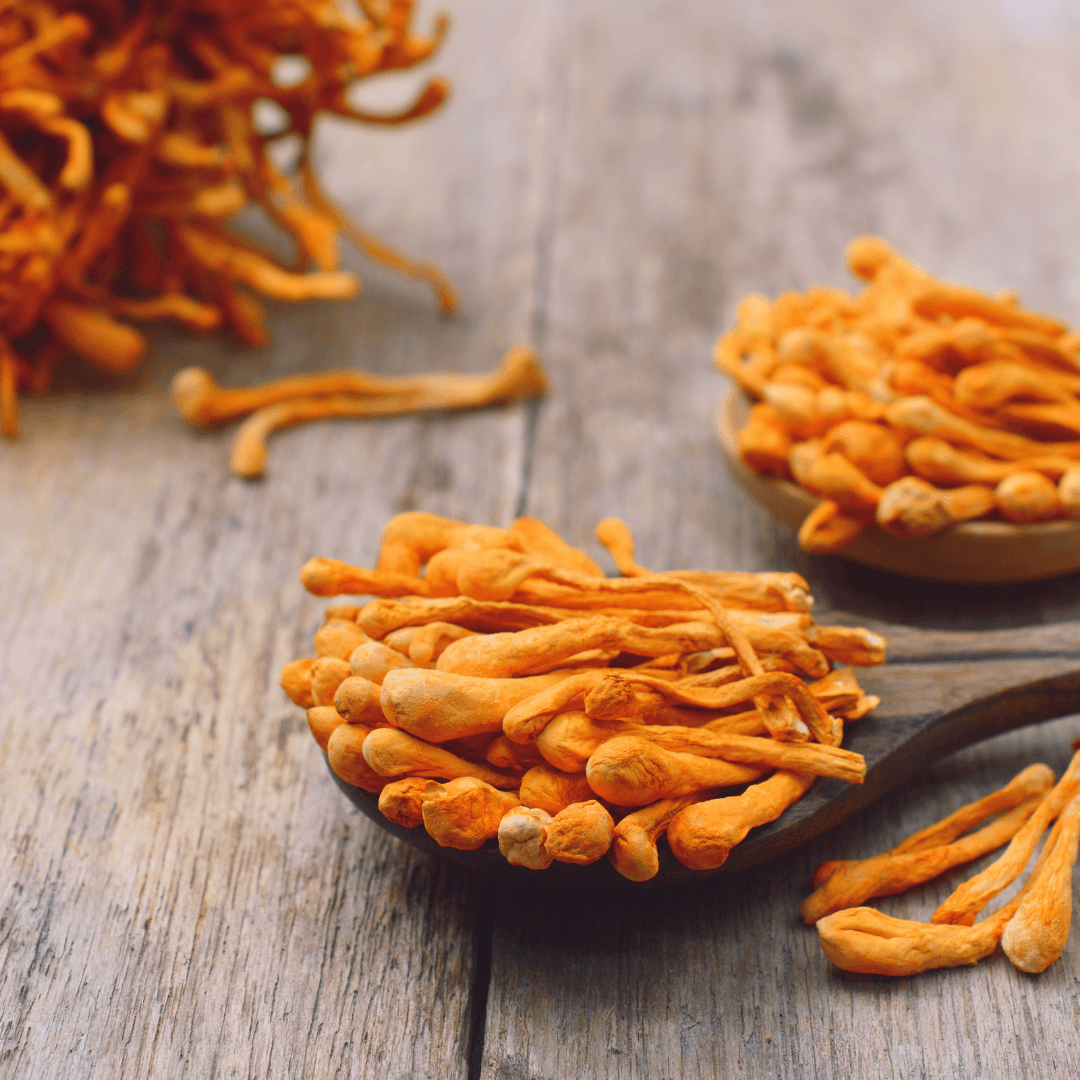 Cordyceps Mushroom | 16g - Forager Superfoods