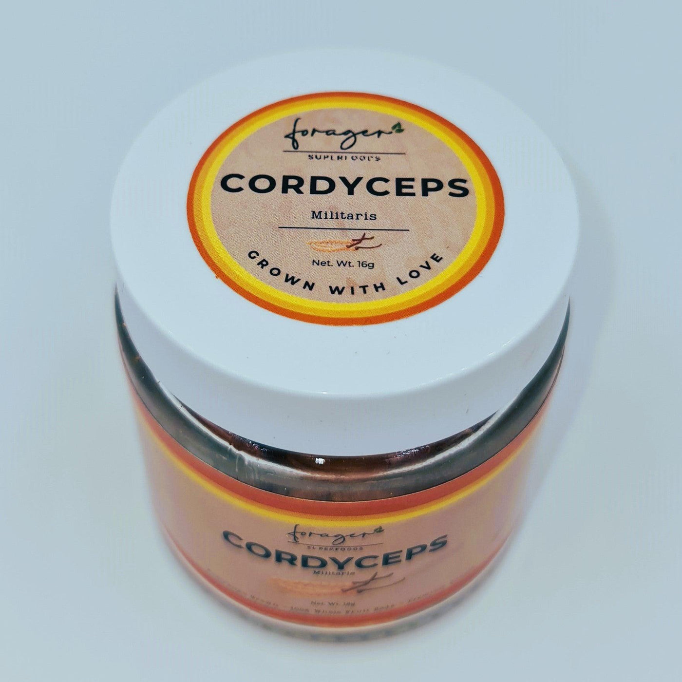 Cordyceps Mushroom | 16g - Forager Superfoods