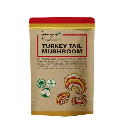 Turkey Tail Mushroom | 100g - Forager Superfoods